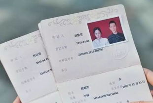 携手共度，办理结婚证的详细指南