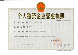 独资企业章程，构建企业治理的基石