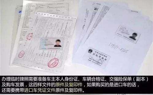 深入了解机动车辆保险，条款解析与实用指南