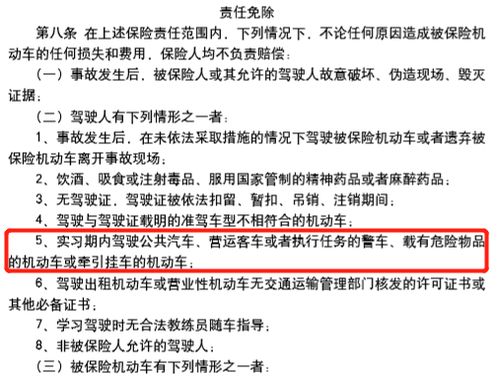 深入了解机动车辆保险，条款解析与实用指南
