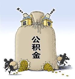 南充市住房公积金查询全攻略，如何轻松掌握你的公积金账户动态