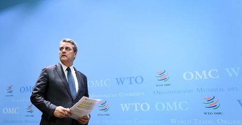 全球贸易的挑战，世贸组织员工感染事件的深度解析与应对策略
