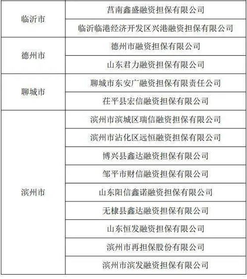 安全网下的金融舞蹈，担保公司管理办法的奥秘