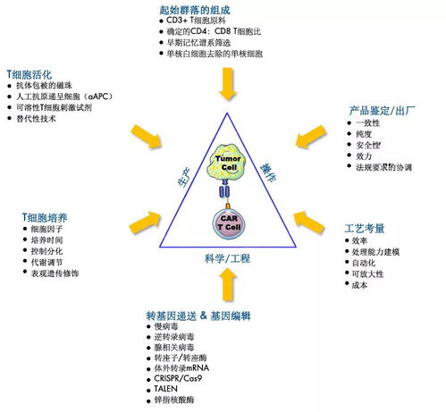 上海市人口与计划生育，挑战与机遇