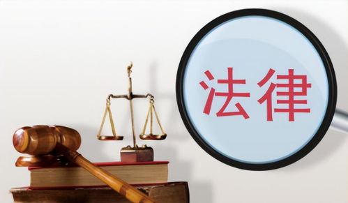 免费法律咨询律师，您的权益守护者