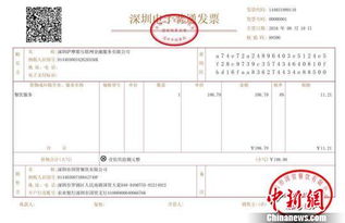 深度解析，地税发票税率的奥秘与影响