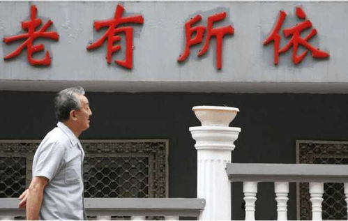 农民养老保险新政策，为辛勤耕耘的您保驾护航