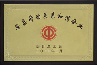 深入了解劳动局养老保险，保障您的未来
