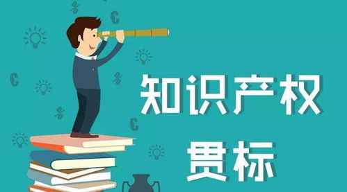 知识产权贯标，企业创新的保护伞