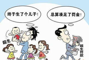 深入了解超生罚款标准，政策、影响与应对策略
