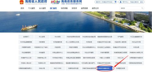 卫生许可证办理指南，流程、要求与实用建议
