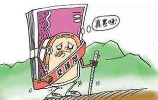 社会抚养费的流向，透明与责任