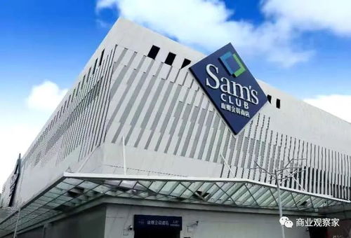 探索企业的世界，从街角小店到跨国巨头