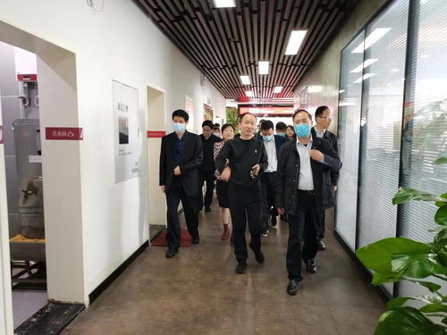 合肥市工商局年检，全面解读与操作指南