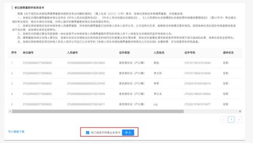 掌握您的未来，青岛社保查询个人账户全攻略