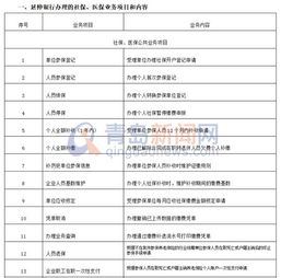 掌握您的未来，青岛社保查询个人账户全攻略