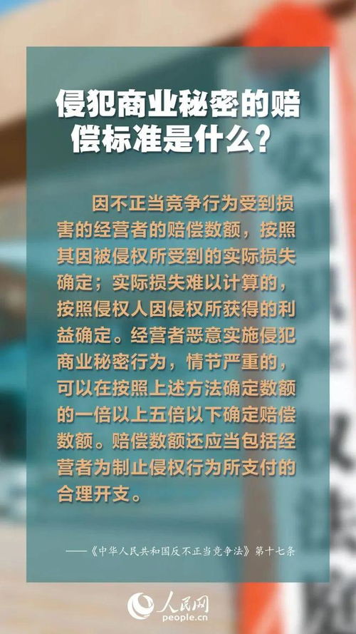 探索国家专利局，知识产权的守护者