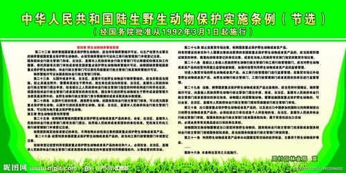 新农合制度，农民健康保障的守护神
