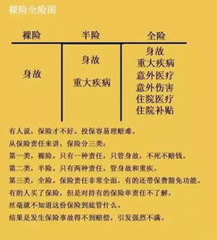 深入了解社会保险缴费比例，保障与责任的平衡