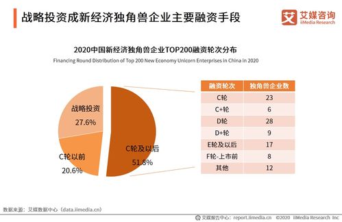 双轨制，理解经济与社会中的双重路径