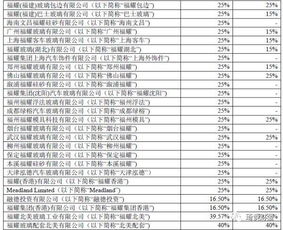 深度解析，所得税税率如何影响你的钱包和国家经济