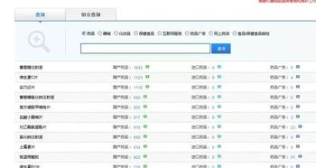 深入了解汇款单查询，操作流程、注意事项与实用技巧