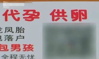 生命的馈赠，多次捐卵与生命垂危的警示