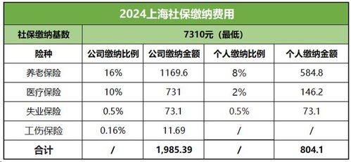深入了解，社保每月缴纳金额的计算与影响因素