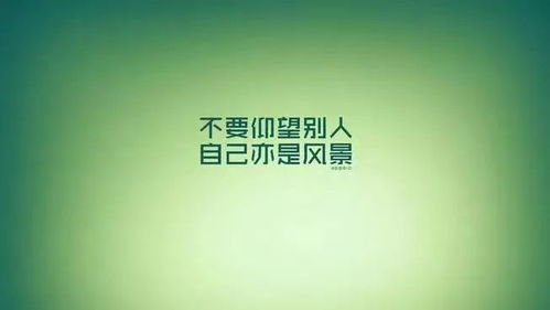 法律知识名言名句，智慧的灯塔