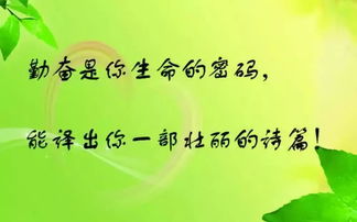 法律知识名言名句，智慧的灯塔