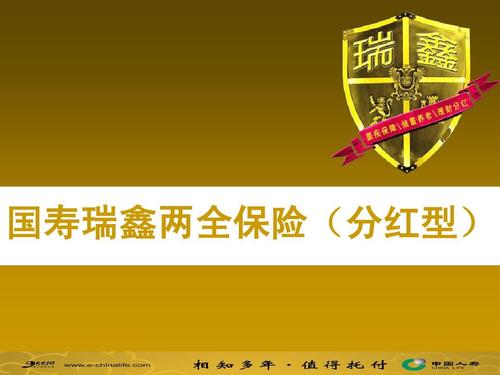 国寿鸿盈两全保险，全面解读与投资指南