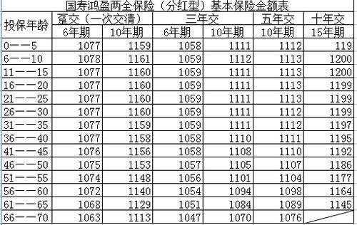 国寿鸿盈两全保险，全面解读与投资指南