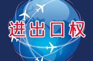 轻松掌握代理出口退税，让外贸生意更上一层楼