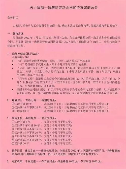 揭秘海关公务员的钱袋子，工资背后的经济与责任