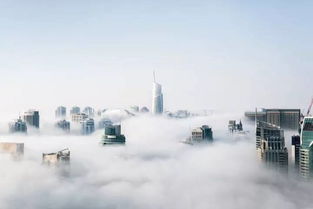 上海河道管理费，维护城市水脉的隐形英雄