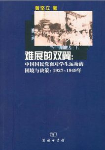 深入解析，中国对圣诞节的态度及其背后的文化考量