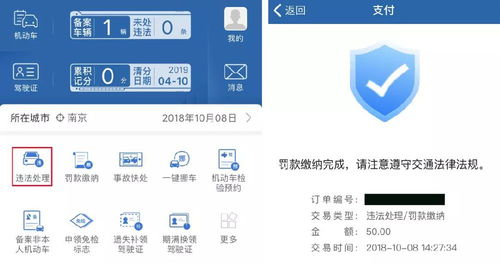 平顶山交通违章查询全攻略，如何快速查询、处理违章及预防措施