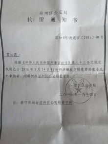 理解处罚通知单，法律程序的桥梁