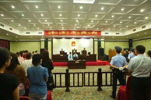 法治之光，依法行政，社会秩序的守护者