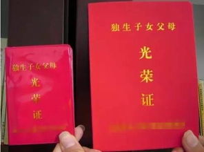 上海独生子女证办理全攻略，政策解读与操作流程