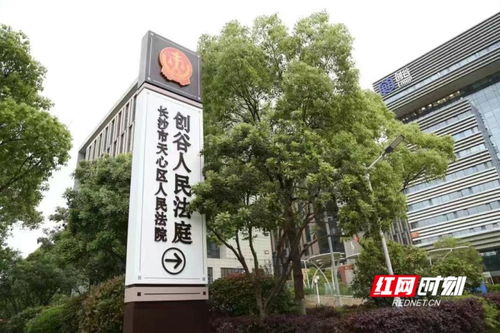 湖南省雨花区人民法院，司法服务与沟通的桥梁
