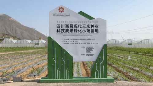 农业机械安全监督管理条例，保障农业生产安全，促进农业现代化发展