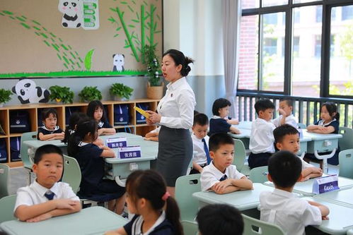 合肥幼儿园转让，教育产业的新机遇与挑战