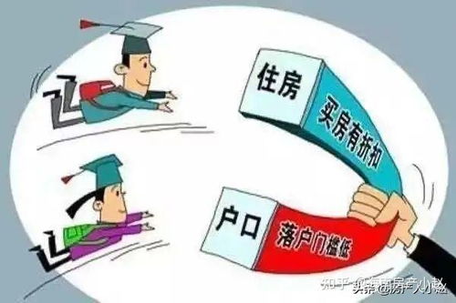 深入了解住房补贴标准，政策解读与实际应用