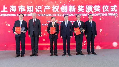 上海知识产权，创新的保护伞