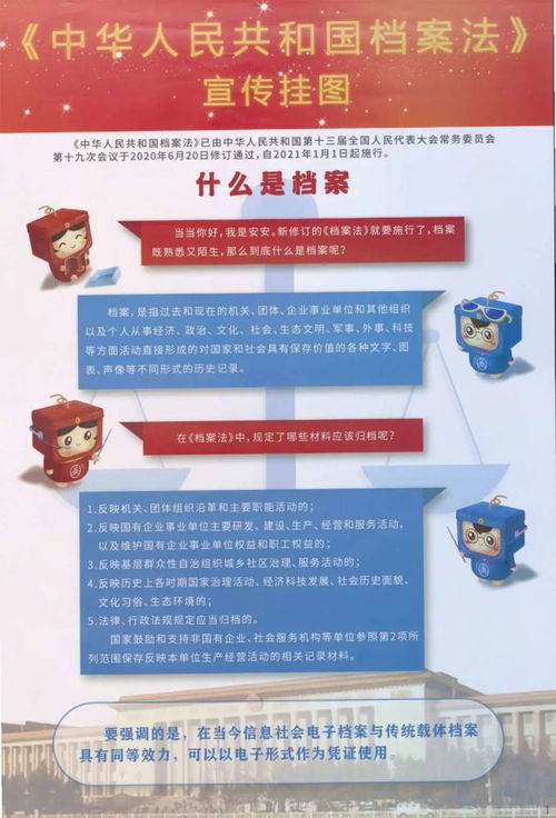 档案接收单位，理解档案管理的关键环节