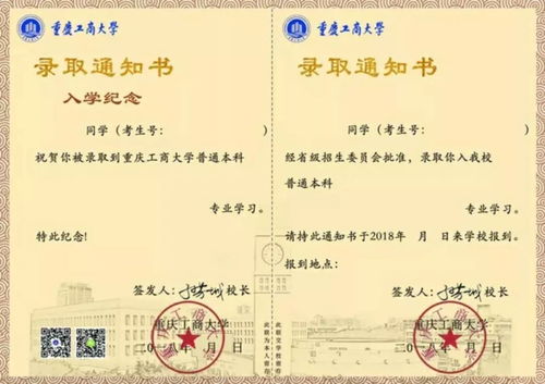 如何制作一份专业且个性化的通知书模板