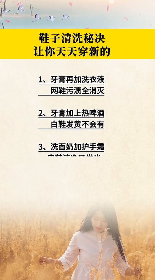 坦白从宽，揭秘供认不讳的法律与生活智慧