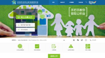 深圳市住房公积金余额查询，简单步骤与实用技巧