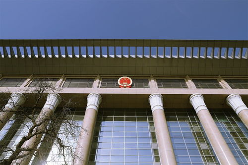 南京市雨花台法院电话，法律咨询的桥梁，正义的守护者